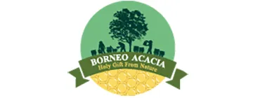 Borneo Acacia