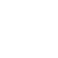 WordPress  Development